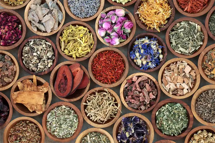 Traditional Ayurvedic herbs, spices and natural ingredients used in holistic wellness practices
